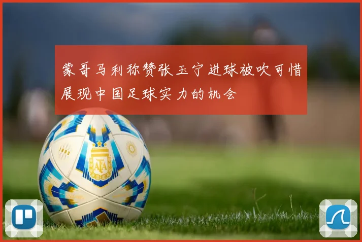 蒙哥马利称赞张玉宁进球被吹可惜展现中国足球实力的机会